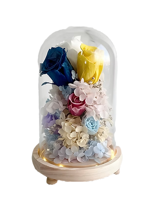 3 roses preserved flowers bell jar