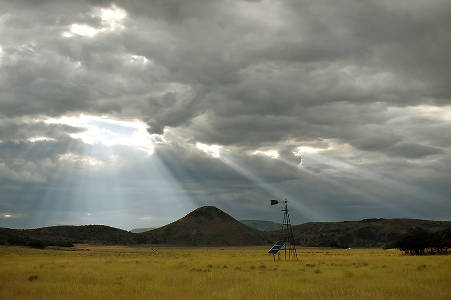 President's Choice - Heaven on Earth 1 - Reina Staheli.jpg