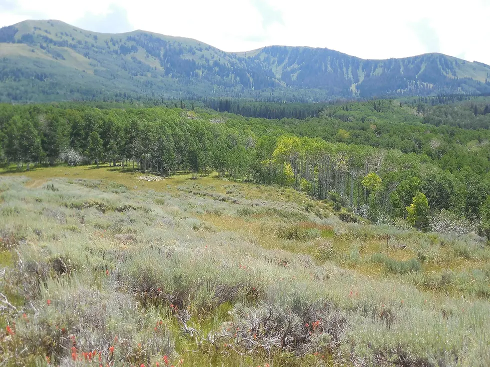 SOUTH-FORK-WATERSHED