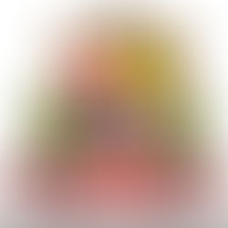 Best CELPIP Coaching in CHD & Best Trainers for CELPIP_  at Sunlandedu