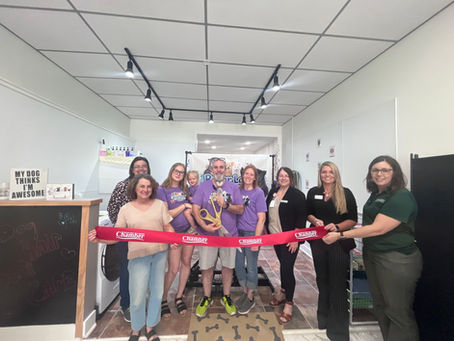 Congratulations Rover Lane Pet Salon!