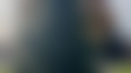 🎄✨ It’s beginning to look a lot like Christmas in Greenfield!