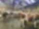 1707981192269[14024].jpg