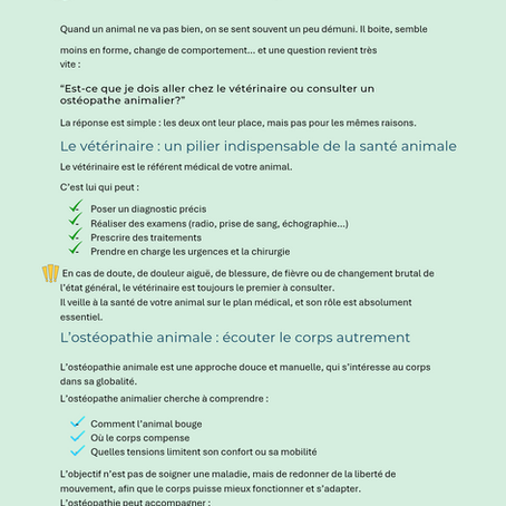 Ostéopathe ou vétérinaire, qui appeler ?