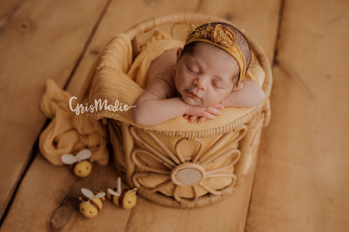 Recién nacido durmiendo en canasta amarilla, texto 'GrisMafio', con abejas decorativas. 