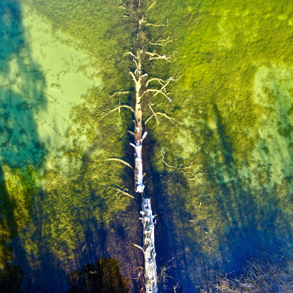 Okanagan, BC