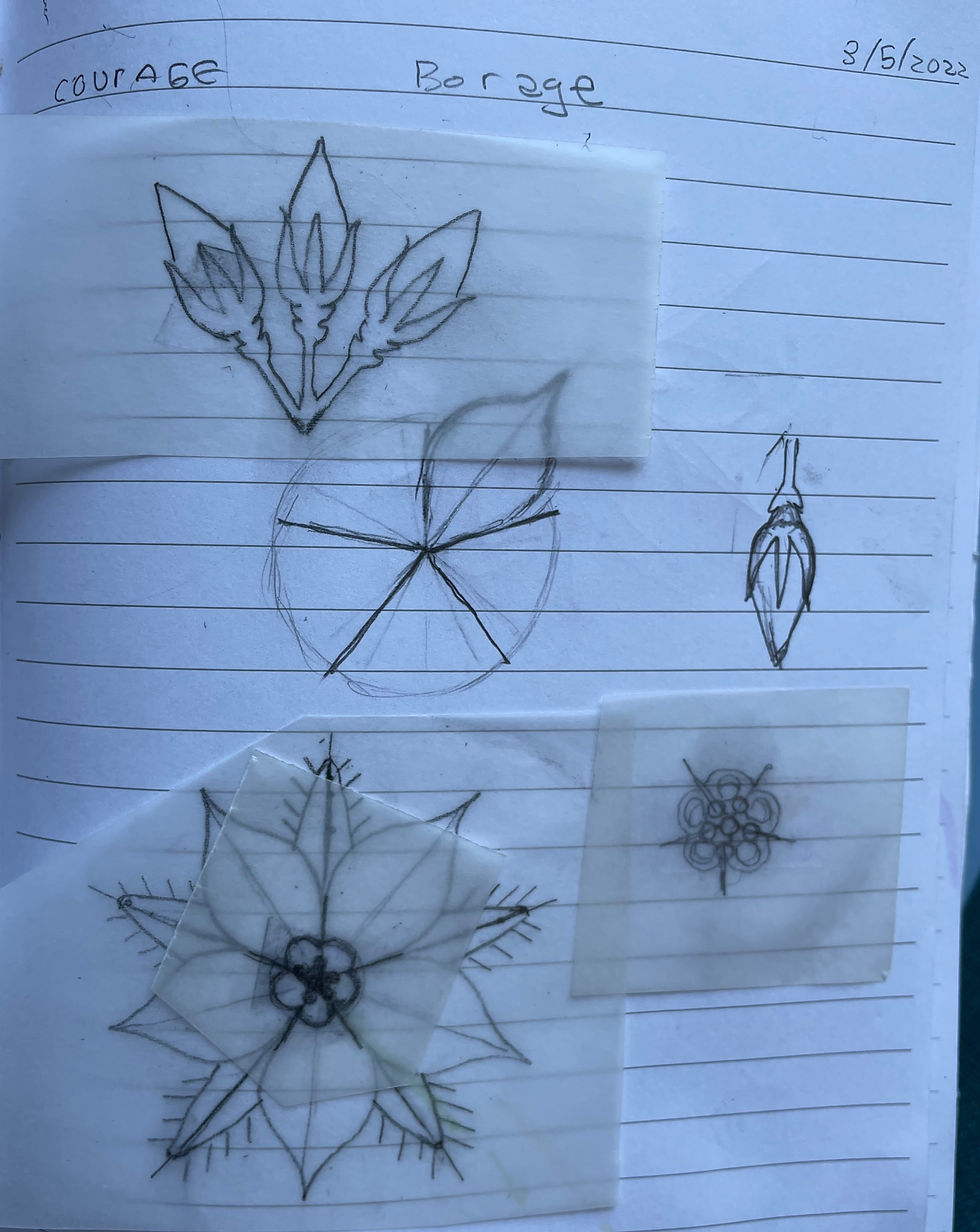 Thumbnail: 2022 Ukrainian Egg - Borage Flower Symbolizes Courage