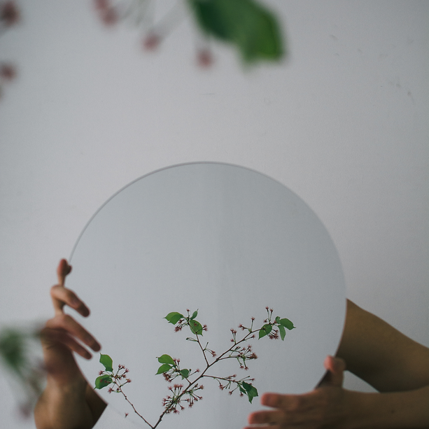 Création sans titre (15).png