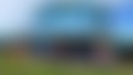 College Updates: Week 4 - Term 2