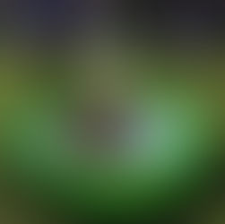 Seaside Day with Early Years