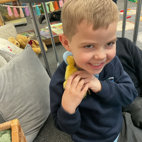 Ducklings in Early Years