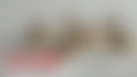 お灸の効果をご存知ですか？