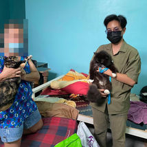 Donate animal food to the animal shelter in Warin Chamrap District, Ubon Ratchathani Province.