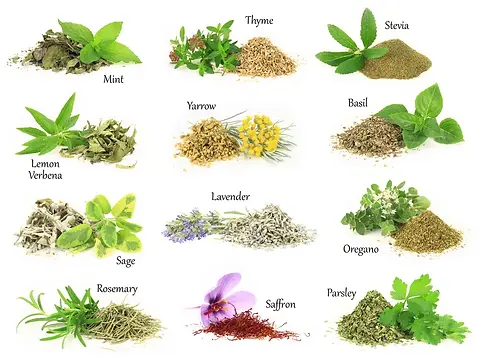 Herbs dry and fresh.webp