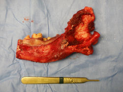 Alex Sellick 8619 (56)