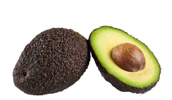 palta-hass