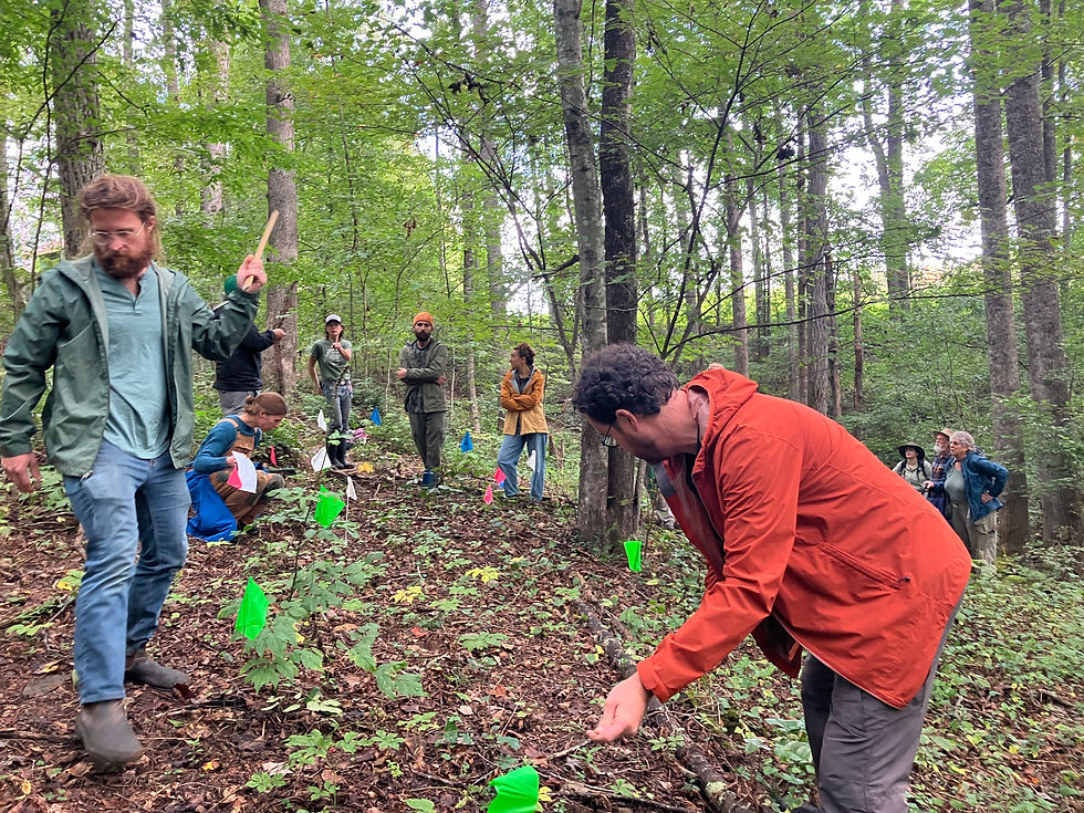 WoodlandStewardsAction.JPG