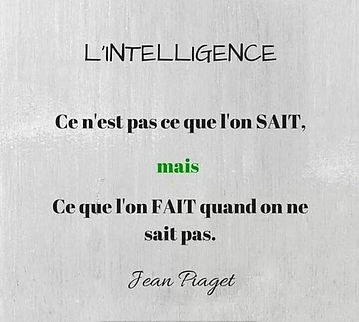 FB_IMG_1570423665274.jpg