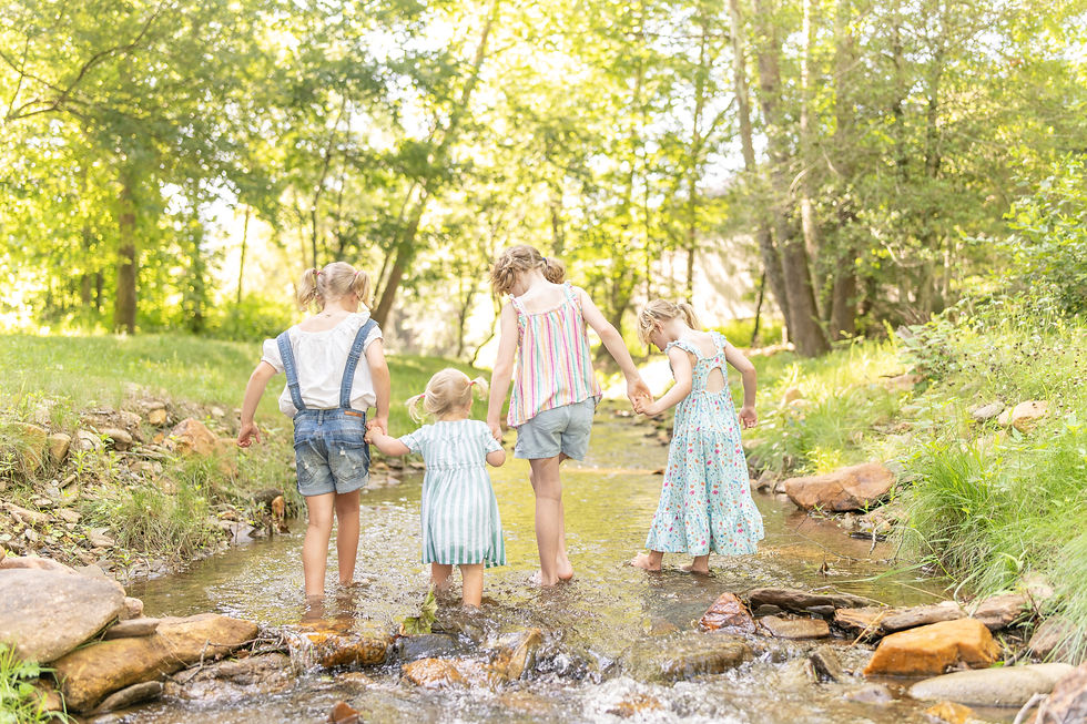 asheville family photographer