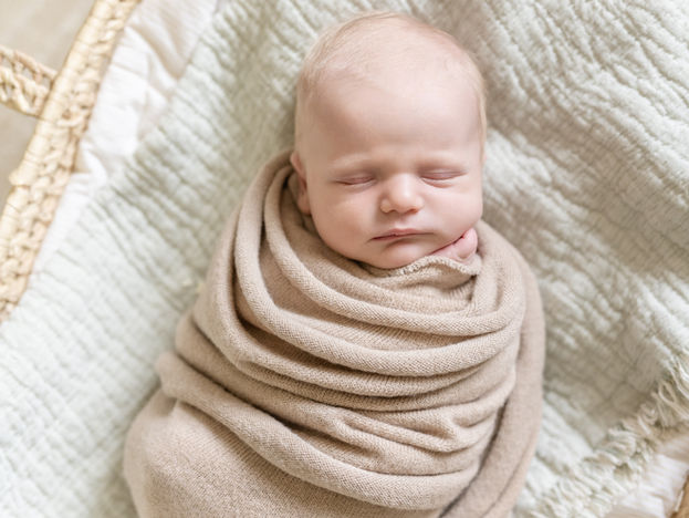 Best Newborn Photographer in Asheville, NC | What Parents Should Look For