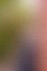 Senior Photographer- Asheville, NC