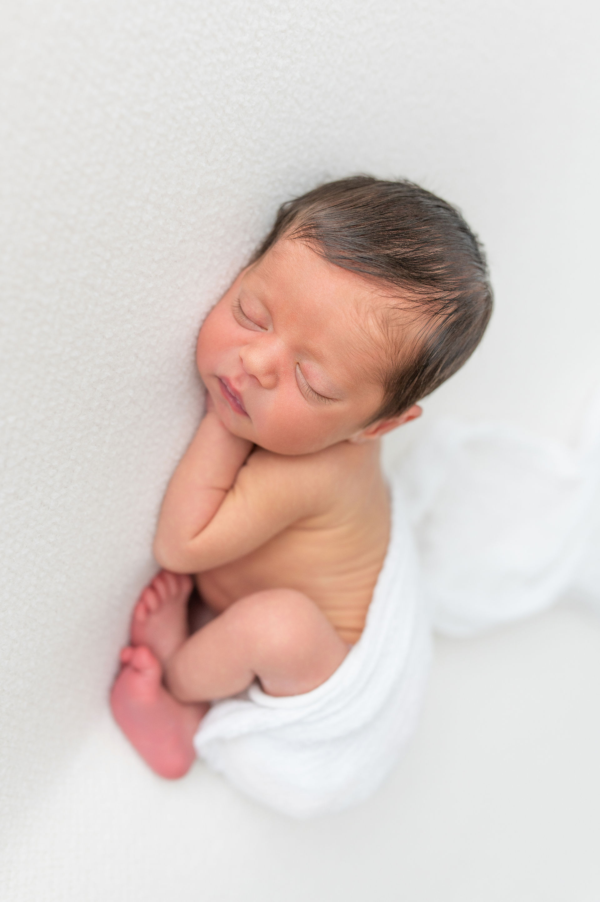 Asheville Newborn Photographer
