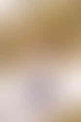 Mini Session, Asheville NC