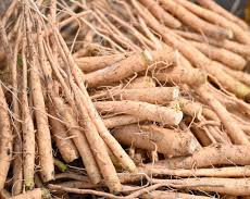 Ashwagandha Roo