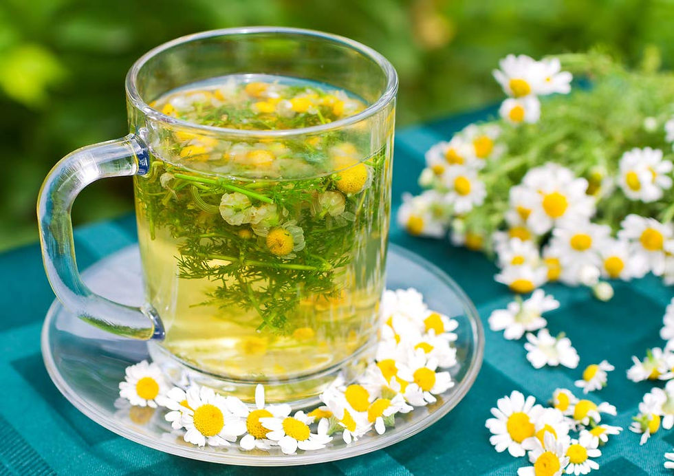 a clear mug containing a herbal tea of chamomile flowers on a clear saucer with a blue tablecloth