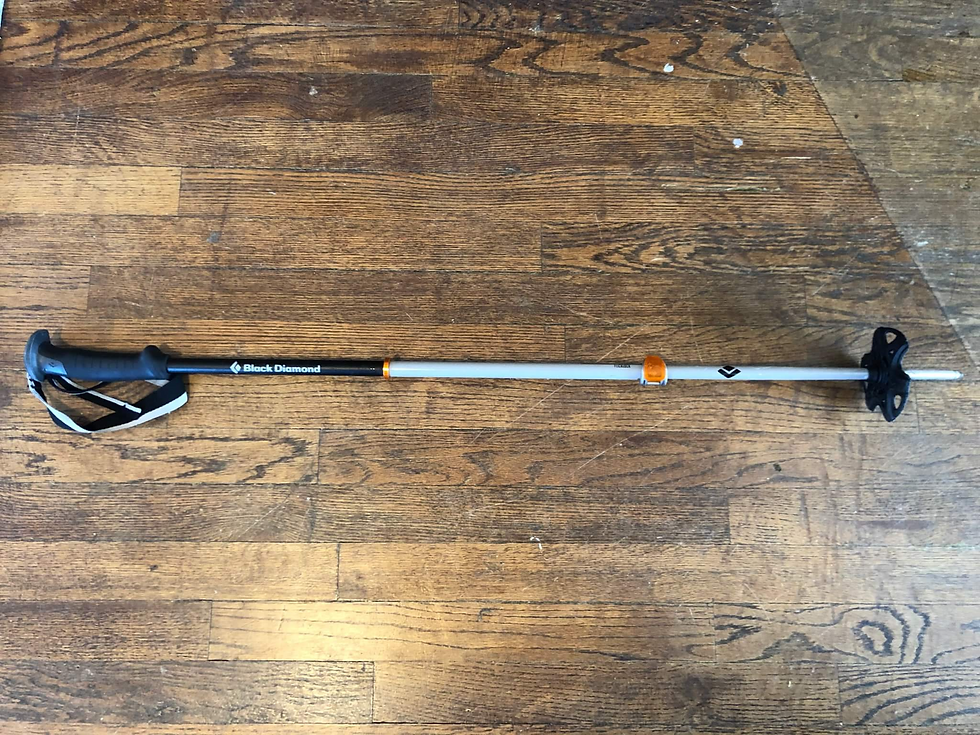 Trekking pole for approaching ice climbs