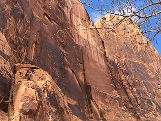 Rock climbers climbing in Kane Creek just outside of Moab Utah