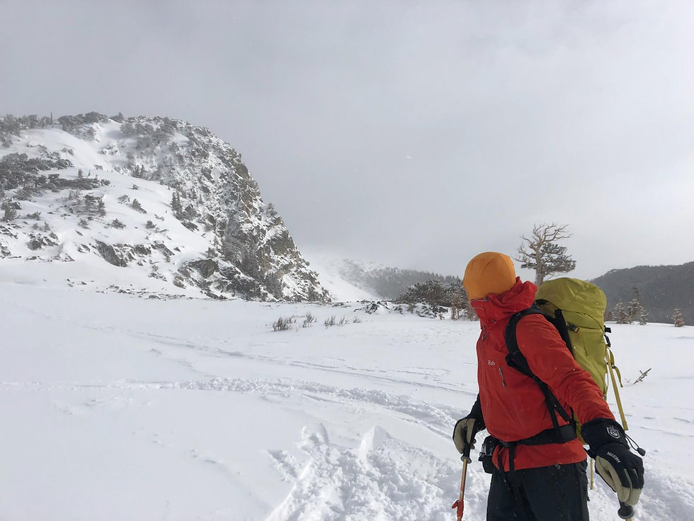 Ski guide scoping out lines and snow conditions