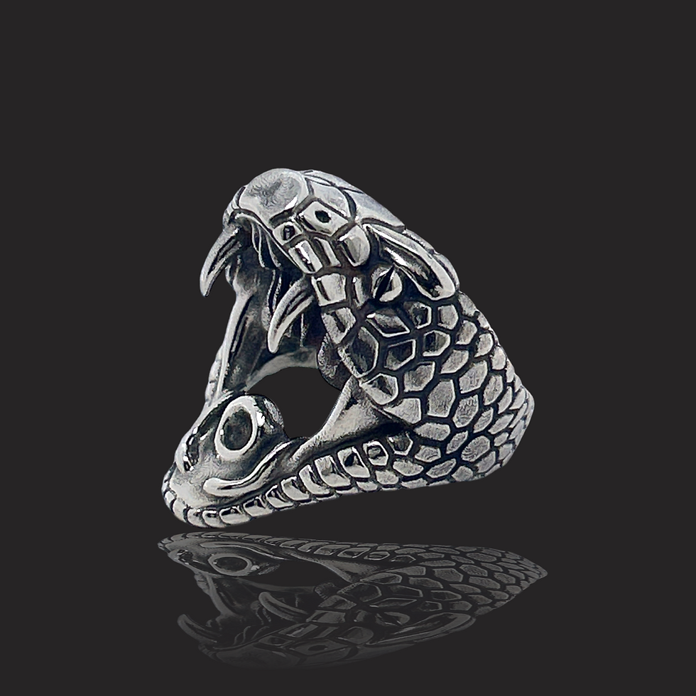 Thumbnail: Snake Head