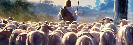 Good Shepherd.jpg