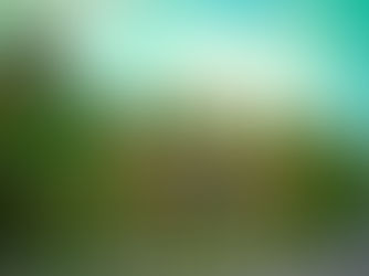 5 experiential stays in Kerala, you must know!