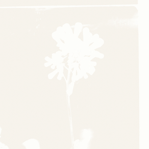 Daughter - Be On Your Way