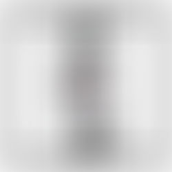 Kid Kapichi x Bob Vylan - New England