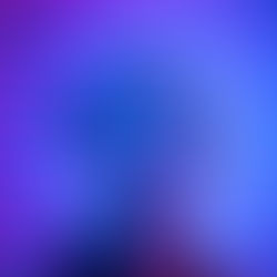 Camden Cox - Elevated