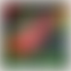 !!! - Man On The Moon / Fast Car