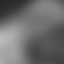 The Jordan - Dancefloor