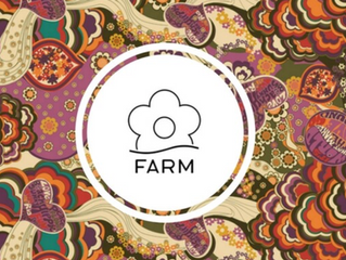 FARM RIO workshop