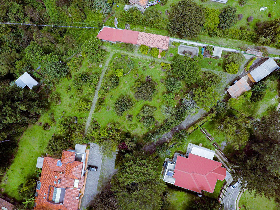 DJI_0050 (2)_edited.jpg