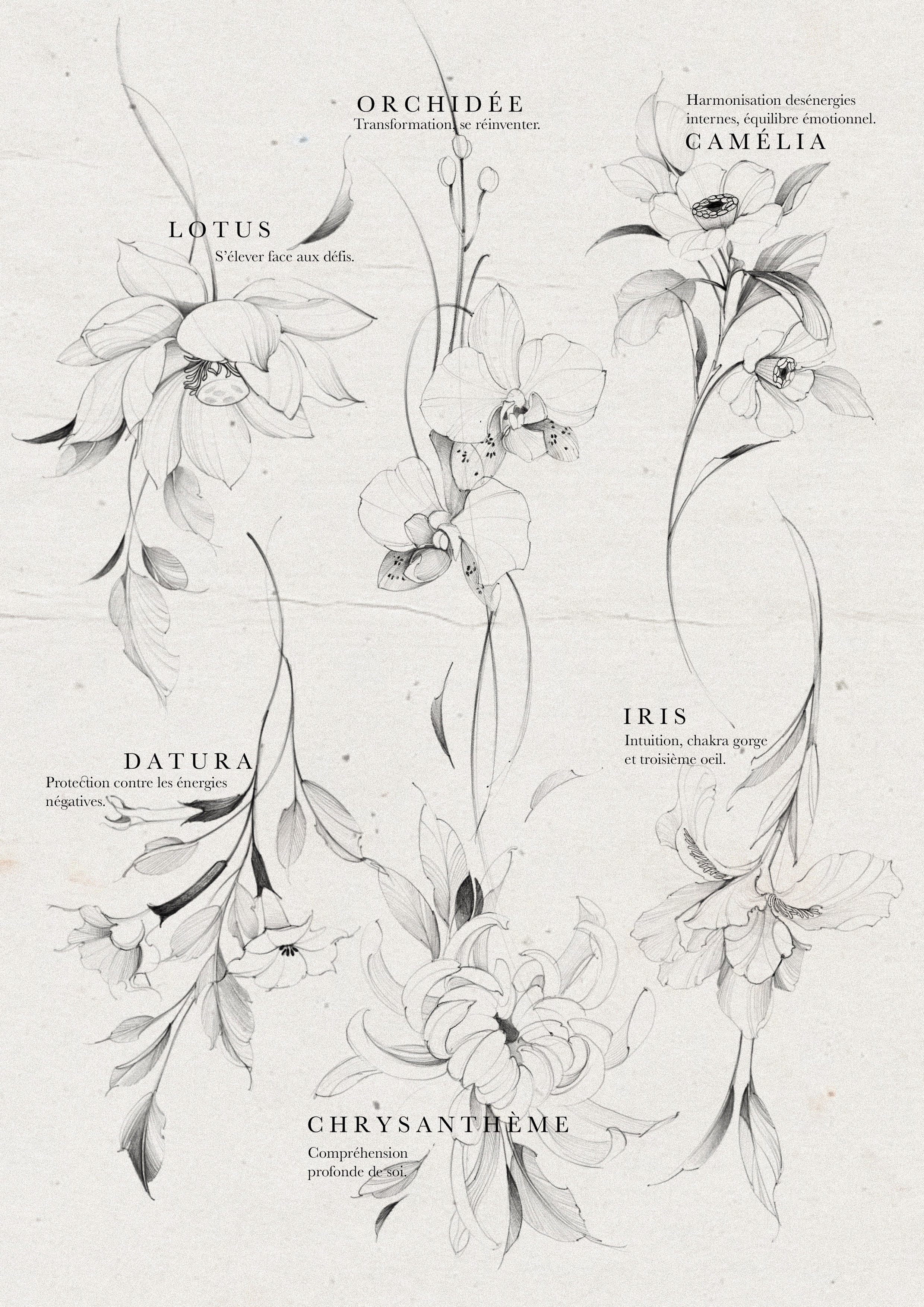 #1 Journées flash 09, 13, et 19/12/24.