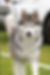 4D9A4762.jpg
