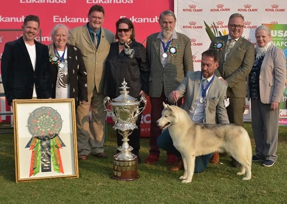 Titan is KUSA National Dog 2026
