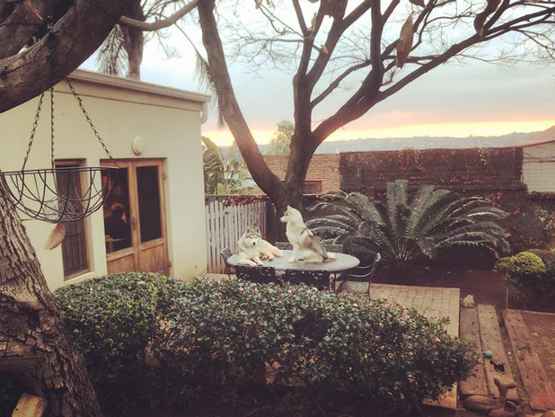 Two dogs relaxing outdoors at sunset