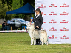 TITAN has a super weekend at the Autumn Cluster weekend