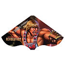 82691 SkyDelta 30 Masters of the Universe.jpg