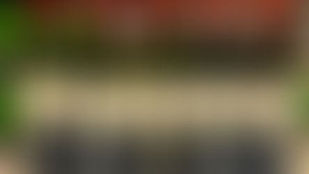 在深圳, 赴一场味觉的“文艺复兴”