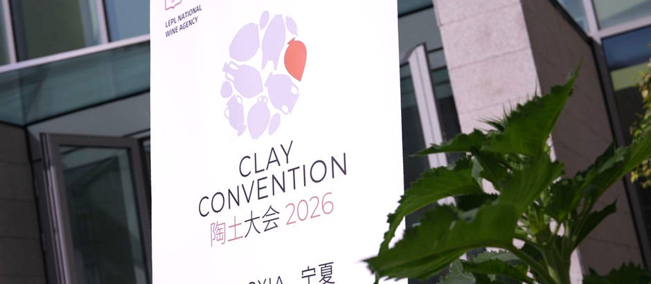 当格鲁吉亚遇见贺兰山:“陶土大会”如何定义中国葡萄酒的差异化新赛道